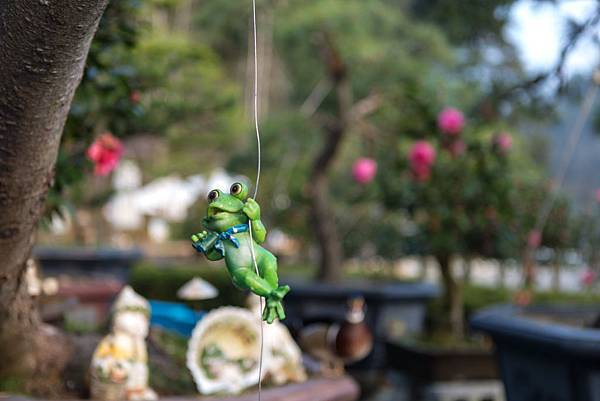 20130124-IMG_2395 20130124-IMG_2395