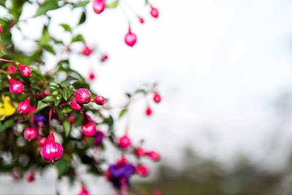 20130124-IMG_2415 20130124-IMG_2415