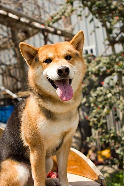 IMG_7532.jpg IMG_7532.jpg