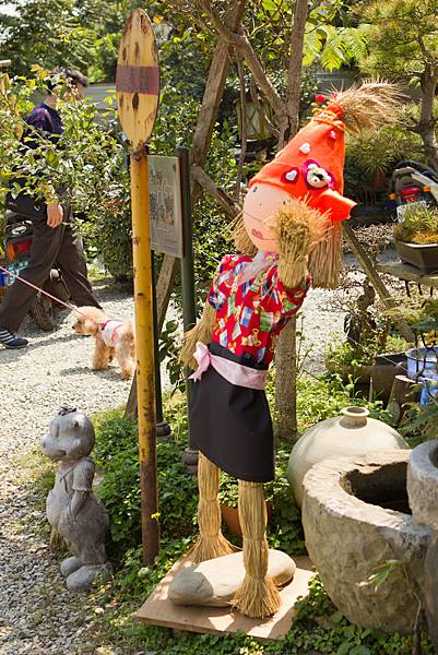 IMG_7538.jpg IMG_7538.jpg