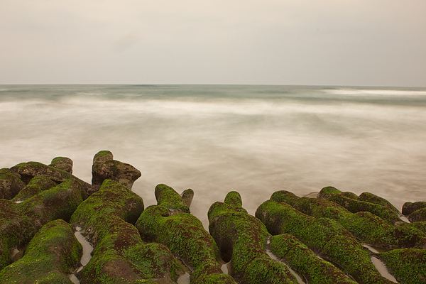 IMG_7298.jpg IMG_7298.jpg