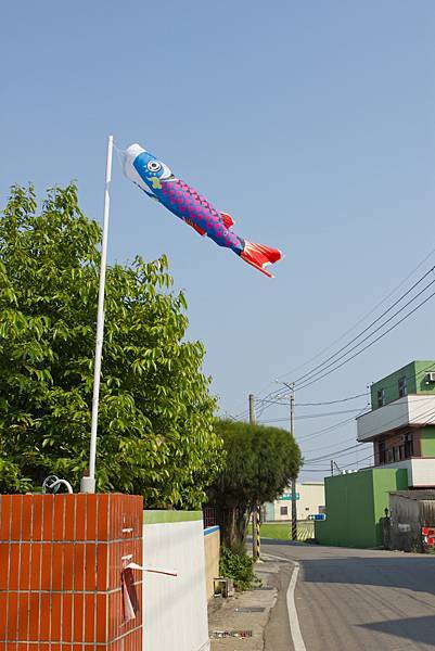 IMG_7657.jpg IMG_7657.jpg