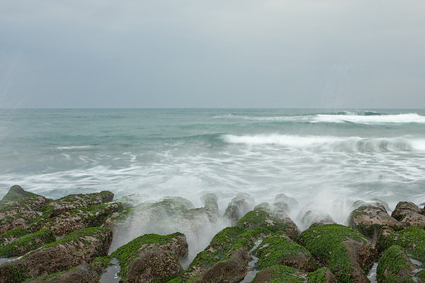 IMG_7353.jpg IMG_7353.jpg