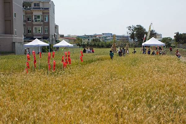 IMG_7572.jpg IMG_7572.jpg