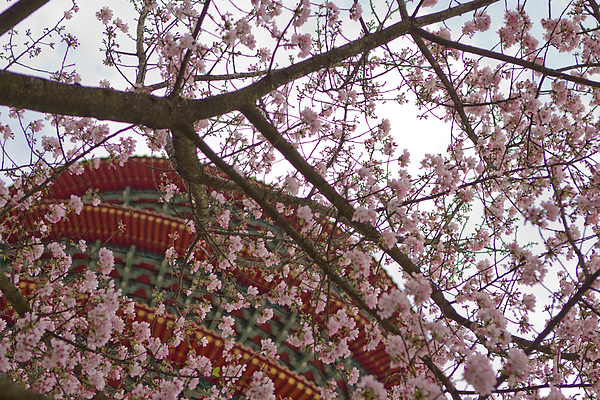 IMG_7280.jpg IMG_7280.jpg