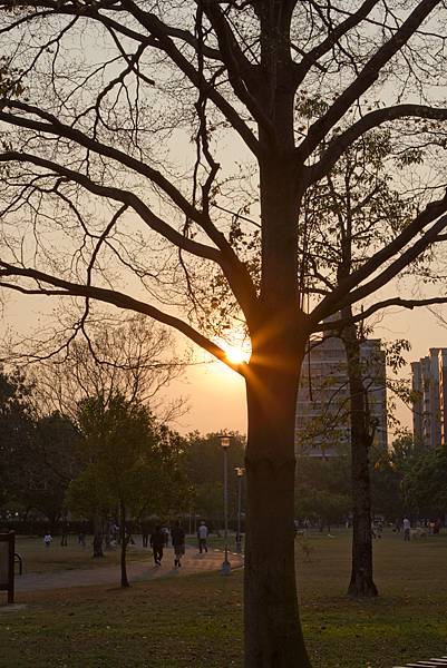 IMG_7693.jpg IMG_7693.jpg