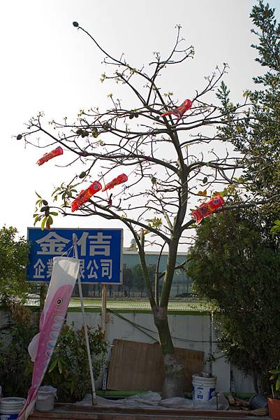 IMG_7659.jpg IMG_7659.jpg