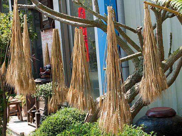 P1010913.jpg P1010913.jpg