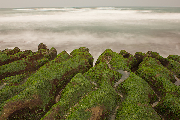 IMG_7305.jpg IMG_7305.jpg