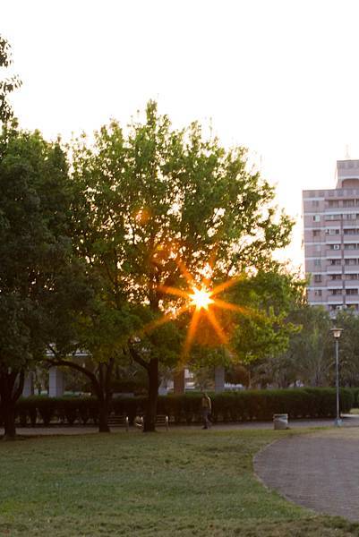 IMG_7717.jpg IMG_7717.jpg