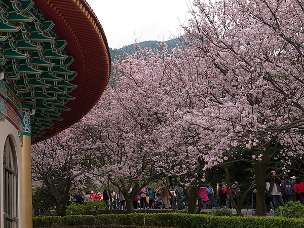 P1010672.jpg P1010672.jpg