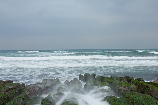 IMG_7323.jpg IMG_7323.jpg