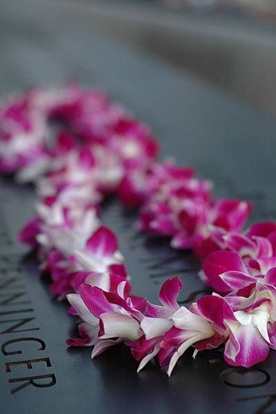 纽约新景点:九一一纪念公园(911 Memorial) - 美