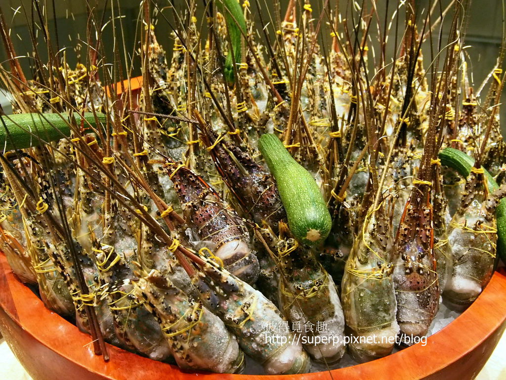 P8288445.JPG P8288445.JPG