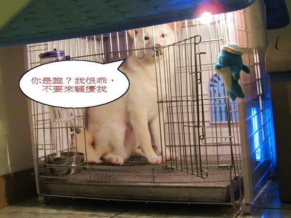 籠內.jpg