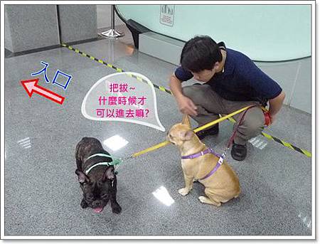 2011寵物展01.JPG 2011寵物展01.JPG