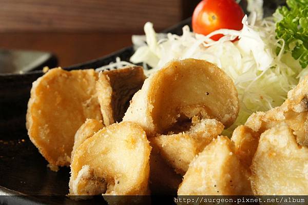 《台南》斑鳩的窩 (93).JPG 《台南》斑鳩的窩 (93).JPG