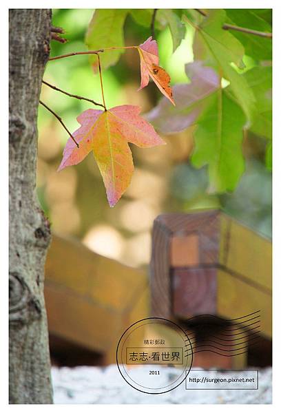 《高雄》寶來山璞傳說VILLA溫泉會館 (29).JPG 《高雄》寶來山璞傳說VILLA溫泉會館 (29).JPG