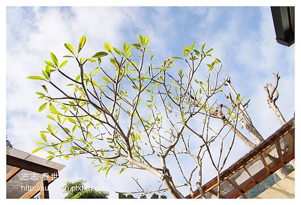 《高雄》寶來山璞傳說VILLA溫泉會館 (48).JPG 《高雄》寶來山璞傳說VILLA溫泉會館 (48).JPG