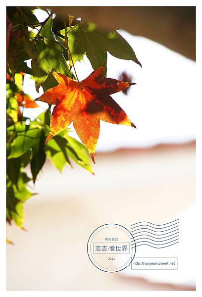 《台南》關子嶺林桂園石泉會館 (51).JPG 《台南》關子嶺林桂園石泉會館 (51).JPG