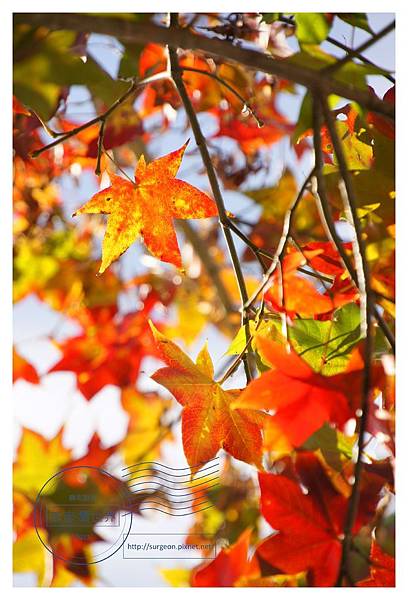《台南》關子嶺林桂園石泉會館 (58).JPG 《台南》關子嶺林桂園石泉會館 (58).JPG