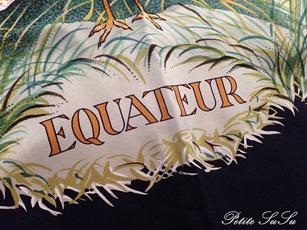 susuIMG_8916 susuIMG_8916