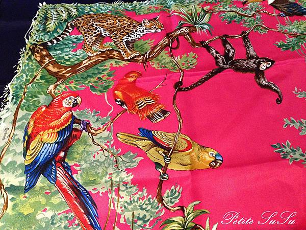 susuIMG_8914 susuIMG_8914