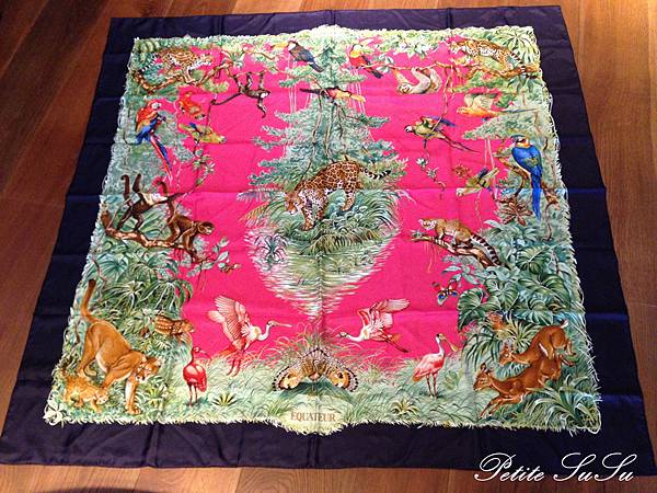 susuIMG_8911 susuIMG_8911