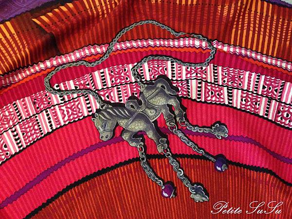 susuIMG_8950 susuIMG_8950