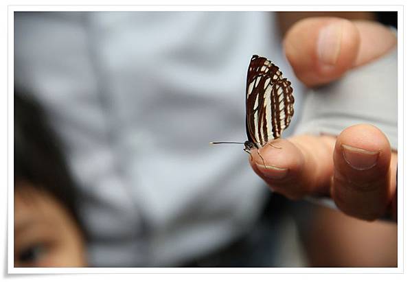 20130714IMG_3137.JPG 20130714IMG_3137.JPG