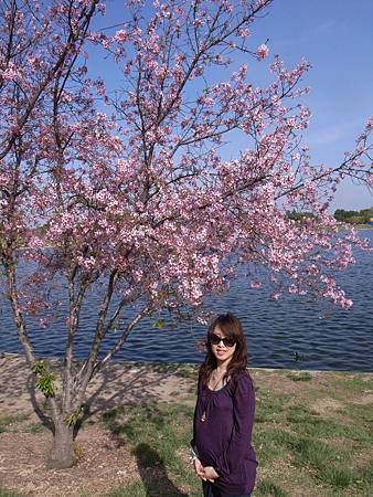 R1100536.JPG R1100536.JPG