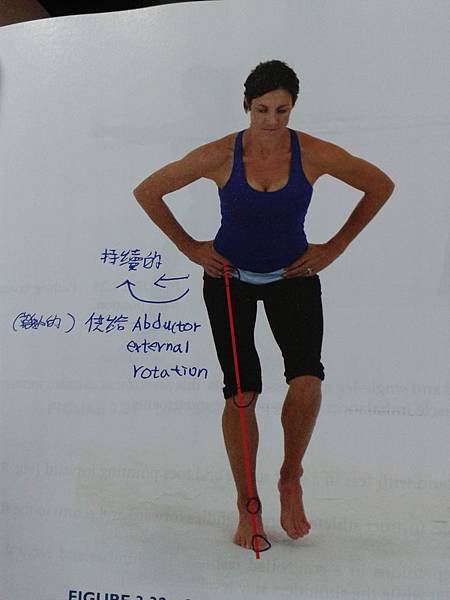 20140304_205153 20140304_205153