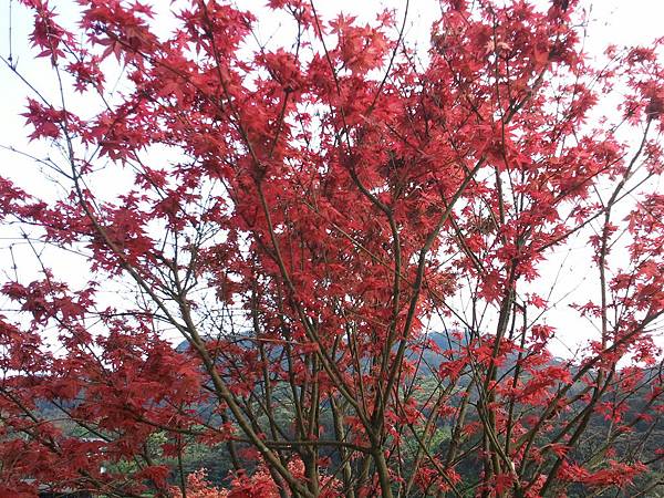 2011-04-02 15.29.38.jpg 2011-04-02 15.29.38.jpg