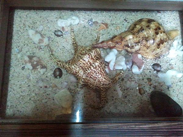 2012-05-14 06.05.45 2012-05-14 06.05.45