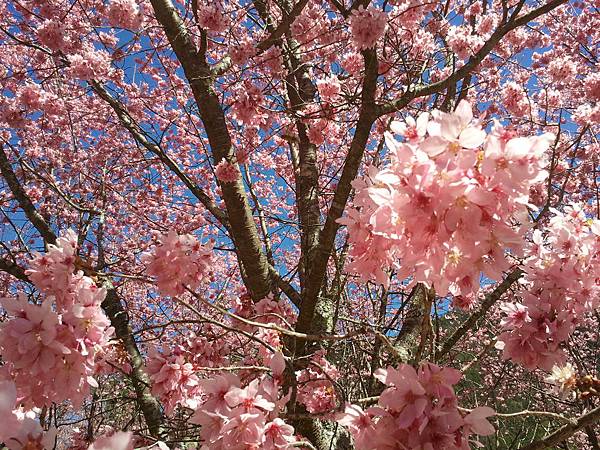 2013-02-15 11.34.57 2013-02-15 11.34.57