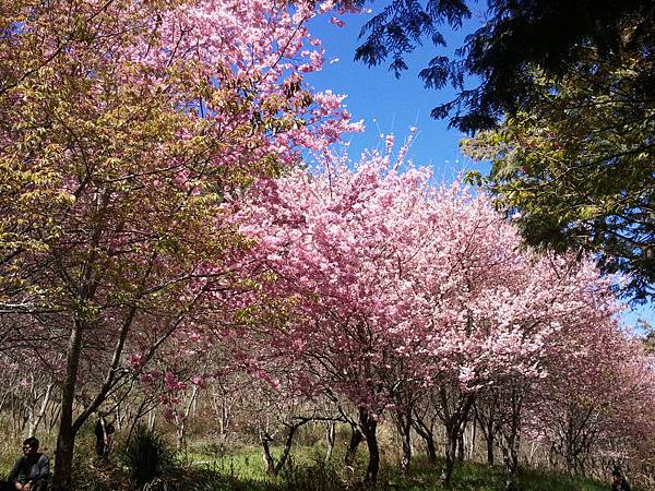 2013-02-15 12.04.51 2013-02-15 12.04.51