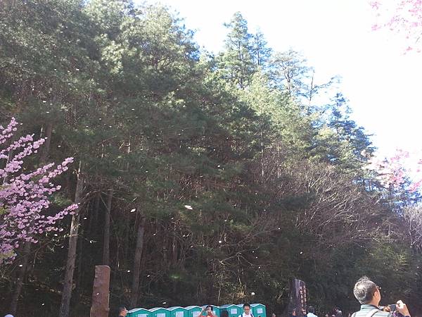 2013-02-15 14.03.16 2013-02-15 14.03.16