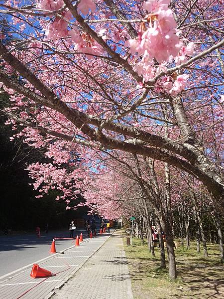 2013-02-15 14.00.58 2013-02-15 14.00.58