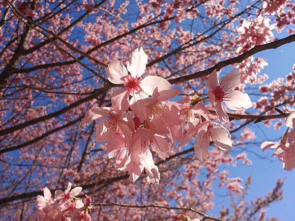 2013-02-15 14.04.07 2013-02-15 14.04.07