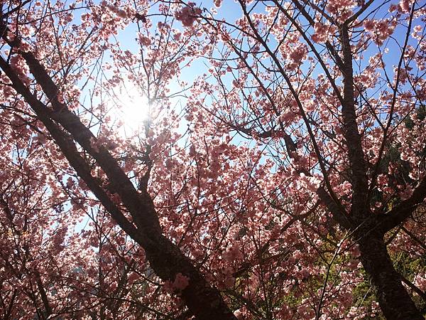 2013-02-15 14.52.44 2013-02-15 14.52.44