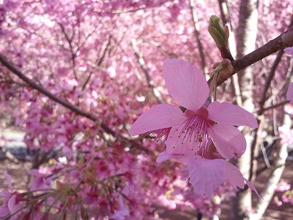 2013-02-15 15.11.28 2013-02-15 15.11.28