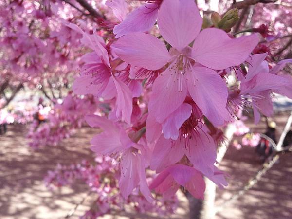 2013-02-15 15.08.12 2013-02-15 15.08.12