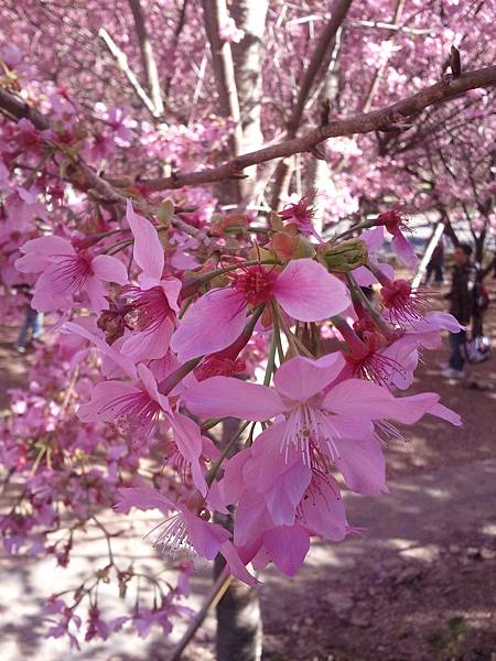 2013-02-15 15.10.14 2013-02-15 15.10.14