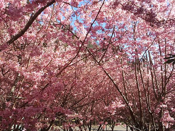 2013-02-15 15.07.06 2013-02-15 15.07.06