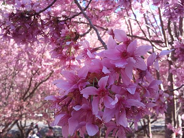 2013-02-15 15.07.30 2013-02-15 15.07.30