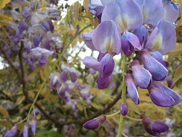 2013-03-30 13.47.40 2013-03-30 13.47.40