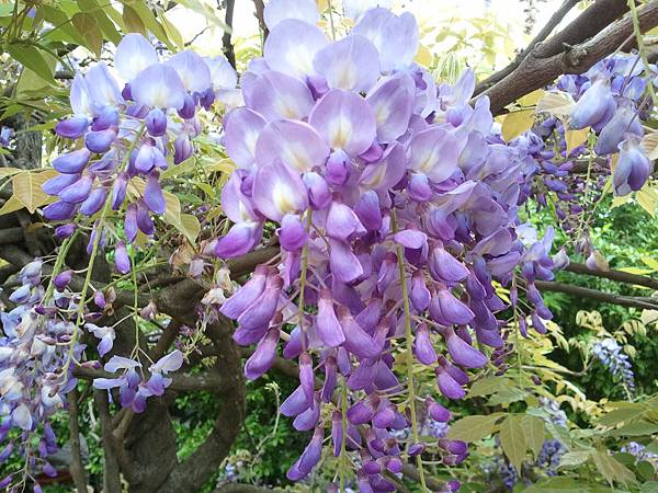 2013-03-30 13.51.59 2013-03-30 13.51.59