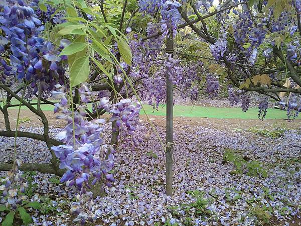 2013-03-30 14.18.54 2013-03-30 14.18.54