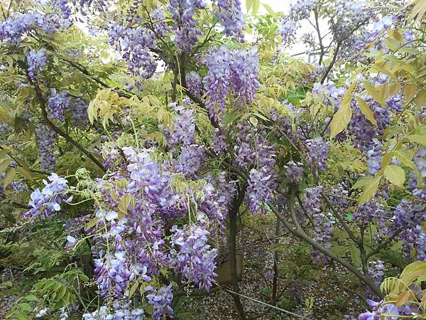 2013-03-30 14.22.37 2013-03-30 14.22.37