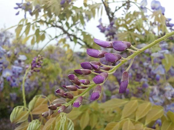 2013-03-30 15.13.00 2013-03-30 15.13.00